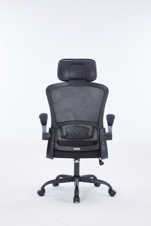 Ghế công thái học Warrior Ergonomic Chair - Pawn series - WEC106