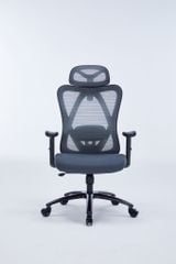 Ghế công thái học WARRIOR – Hero series – WEC501 Plus Black/Gray