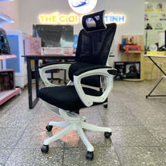Ghế Công Thái Học TSM08