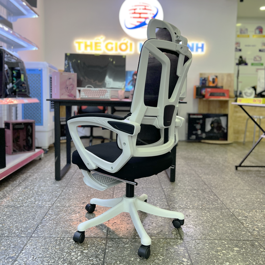 Ghế Công Thái Học TSM08