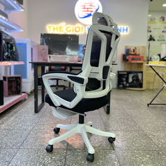 Ghế Công Thái Học TSM08