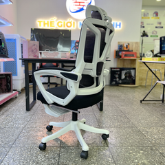 Ghế Công Thái Học TSM08