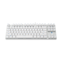 Bàn phím cơ RAPOO V500 ALLOY