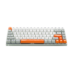 Bàn phím cơ Gaming RAPOO V700-8A Multi-mode