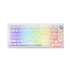 Bàn phím cơ AKKO 5075B Plus | Multi-modes | RGB | Hotswap | Gasket mount