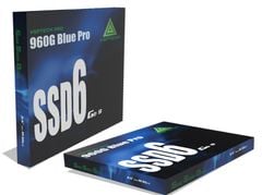 SSD VSP 256GB (960G Blue Pro)