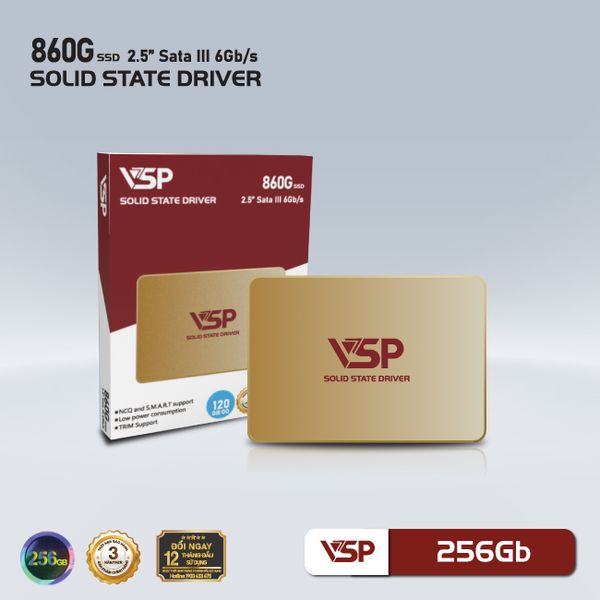 SSD VSP 256GB (860G)