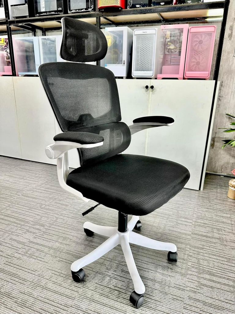 Ghế công thái học TSM09