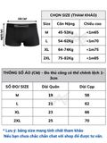  Combo 3 Quần Sịp Nam Thun Lạnh Lỗ Kim Thông Hơi - AVSD2 