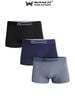 Combo 3 Quần sịp đùi nam thun lạnh cao cấp - AVSD