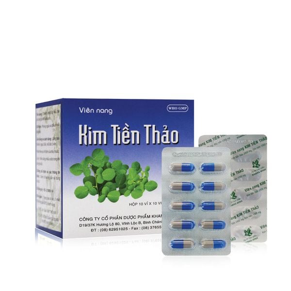  Giúp thanh nhiệt, lợi tiểu, bài sỏi 