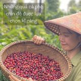Cà phê rang xay nguyên chất Blend Robusta và Arabica, gu vừa chua dịu thơm tinh tế, cà phê hạt - Moby Dick Coffee
