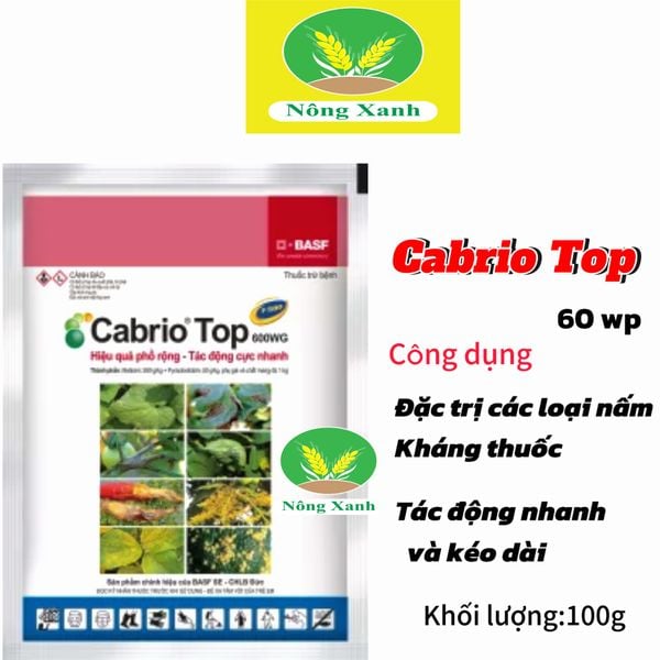  CABRIO TOP 600WG Đặc trị cháy lá dâu tây. đốm lá Dưa lưới - CABRIO TOP 