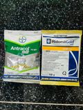  Đặc trị vàng lá mai vàng, đốm lá hoa hồng, đốm lá hoa lan, chết nhanh hồ tiêu Ridomin Gold 68WG - Ridomil 