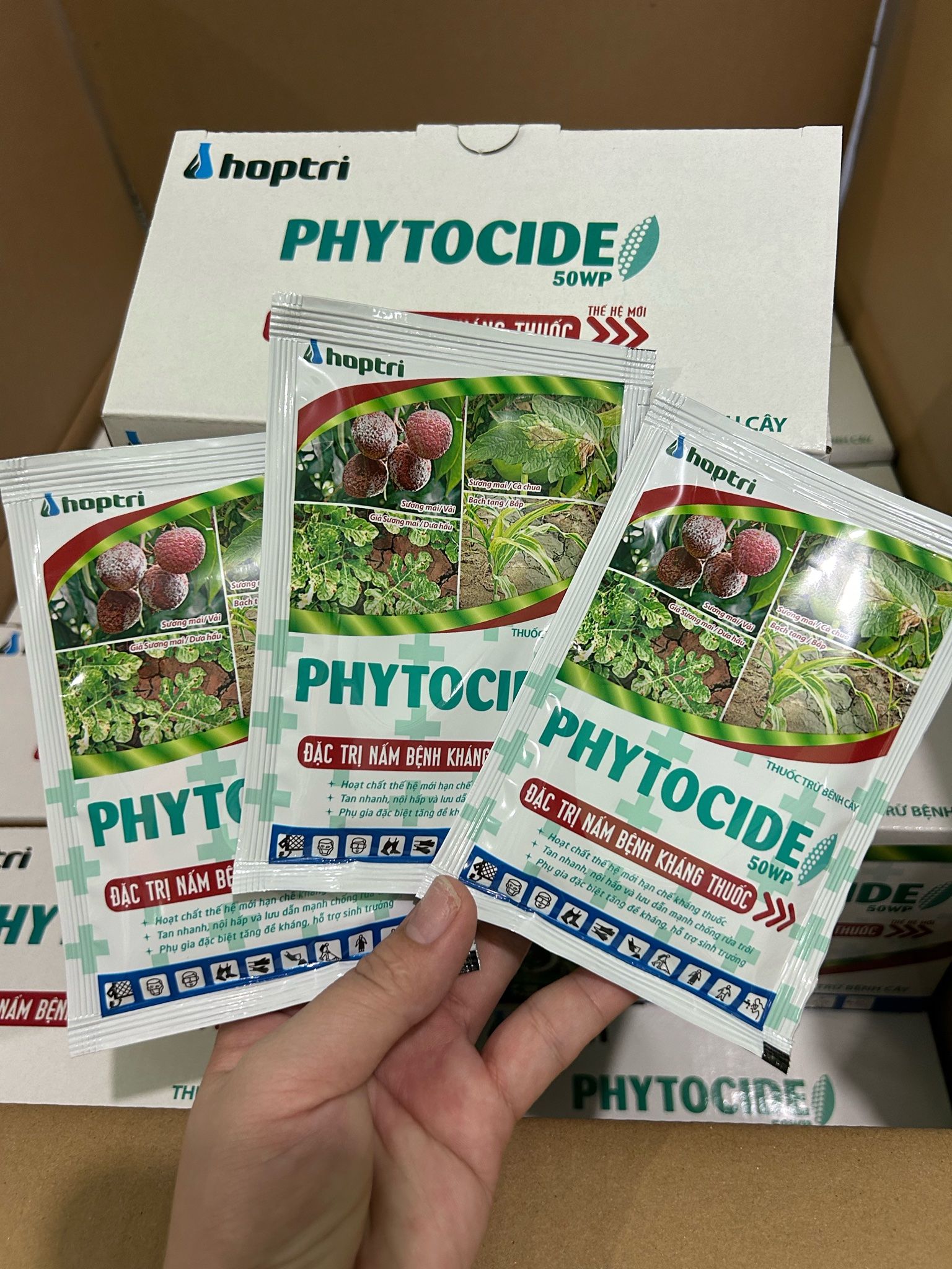  Thuốc trừ Bệnh sương mai trên vải thiều loét sọc mặt cạo trên cao su - Phytocide 50Wp 