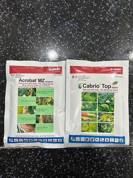  Cabrio Top và Acrobat MZ đặc trị đốm trắng thanh long (Nấm cặp trừ bệnh Thanh Long) 