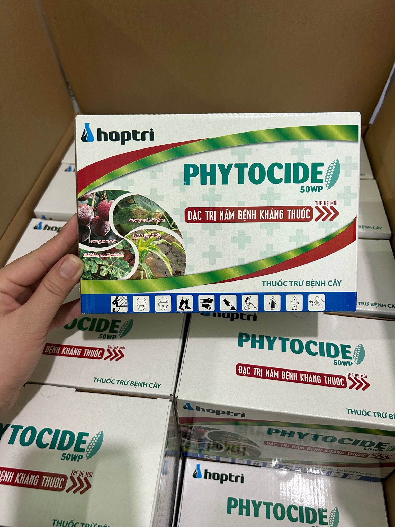  Thuốc trừ Bệnh sương mai trên vải thiều loét sọc mặt cạo trên cao su - Phytocide 50Wp 