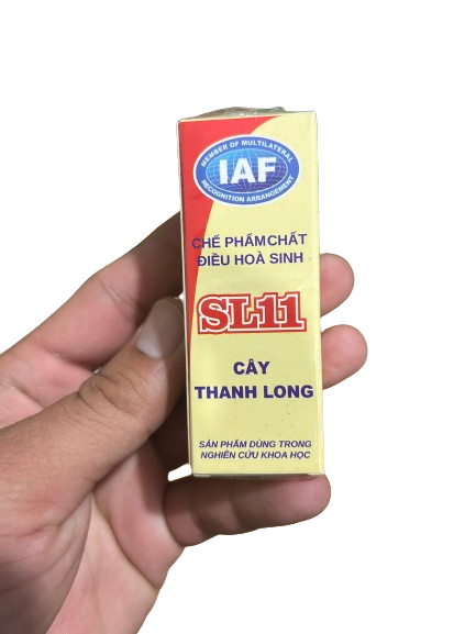  刺激火龙果树反季节开花，不需要光照，效果好，果实大而甜 SL11, VSL11 MADE IN VIETNAM 