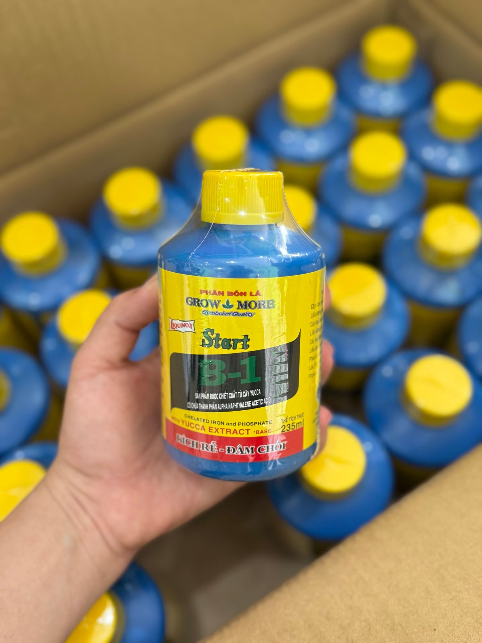  Vitamin B1 (USA) 235 ml 