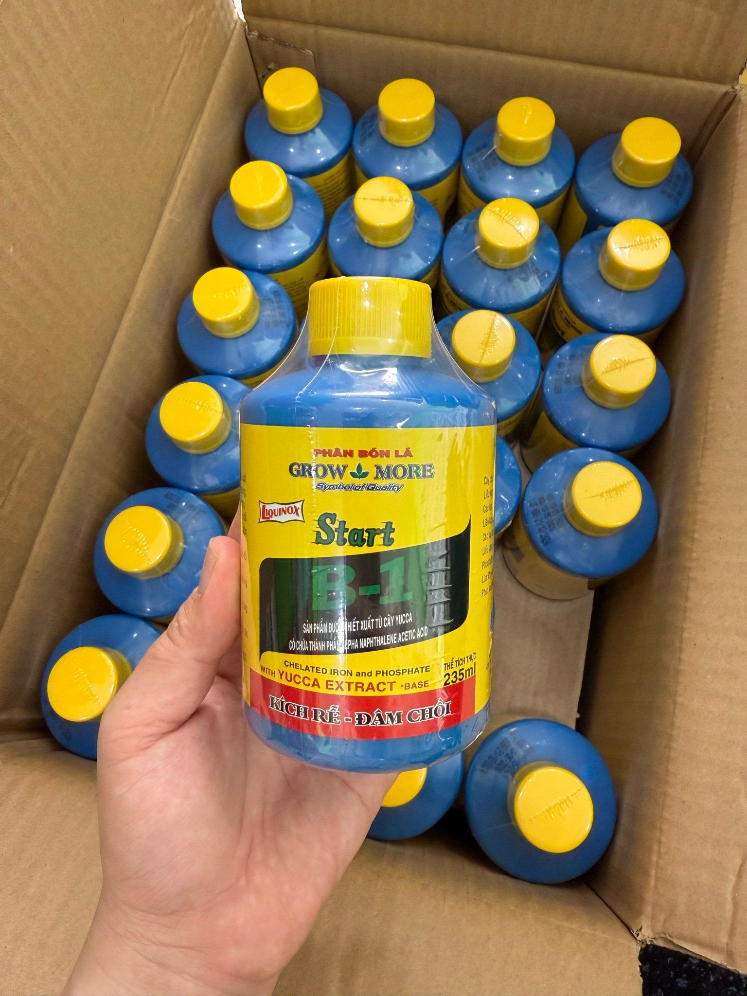  Vitamin B1 (USA) 235 ml 