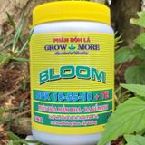 Grow More 10-55-10 + TE BLOOM (Siêu Lân) 