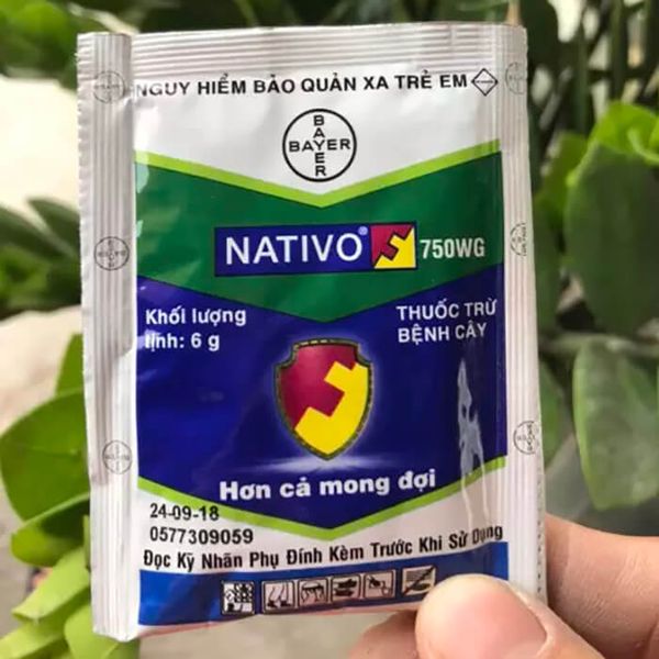  Nativo 750WG Đặc Trị Bệnh Rỉ sắt , bạc lá , đốm lá , thán thư 