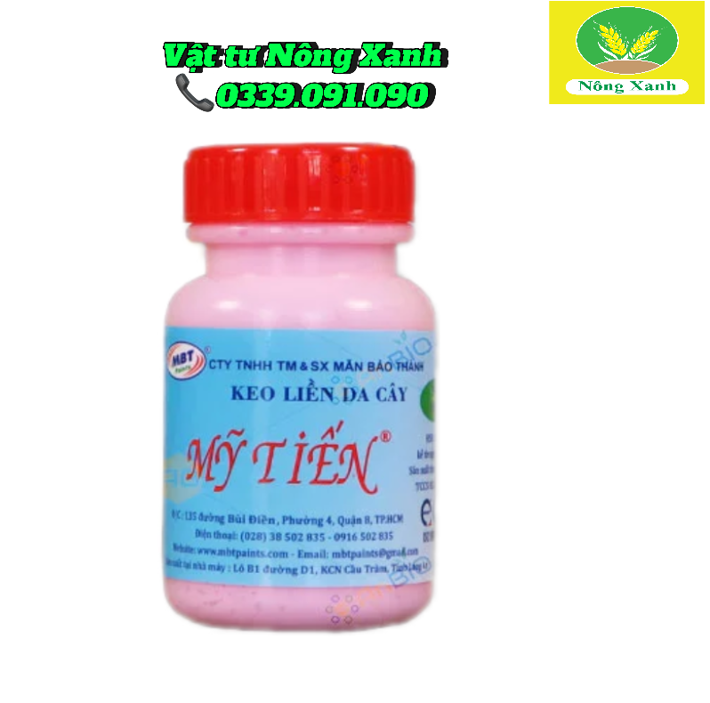  Keo liền da cây Mỹ Tiến 100gr - Mỹ Tiến 100gr 