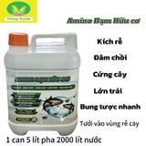  Phân bón AMINO Đạm Hữu Cơ (can 5 lít) kích rễ-đâm chồi-cứng cây-lớn trái 