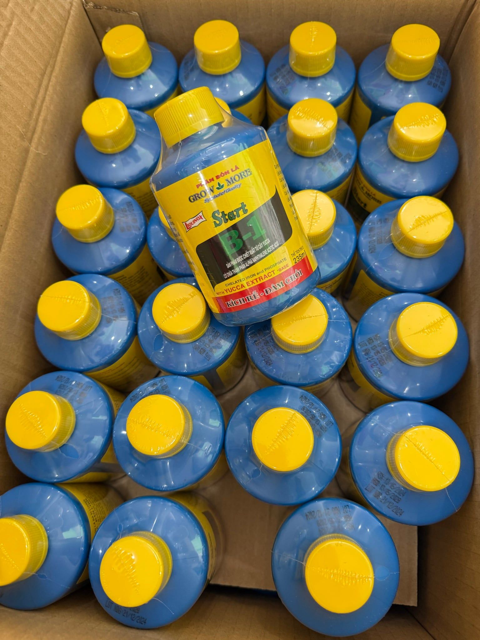  Vitamin B1 235ml - B1 235ML 