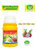  Thuốc Bóng trái thanh long - làm bóng trái thanh long chai 100ml 