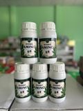  Hydro AMINO nhập khẩu ITALY  giúp to trái bóng lá đâm chồi 