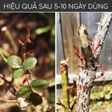  siêu kích mầm T90. t 90 (chính hãng) kích mầm cho cây mai vàng,lan và hoa hồng 