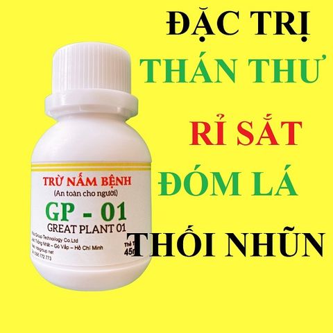 Sản phẩm nổi bật
