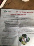  Thuốc kích mầm kích chồi Keiki duy đỏ ( Bôi trực tiếp). - dinhduongcaytrong.com 