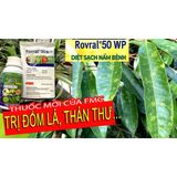  Trừ bệnh Rovral 50WP 25gr Đốm Lá - Thán Thư 