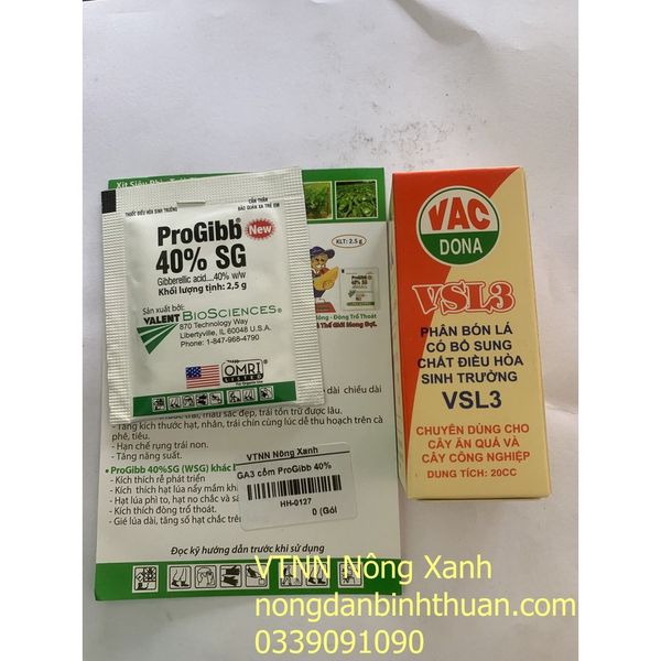  Bộ siêu phẩm lấy 3 Tai Đầu Thanh Long 