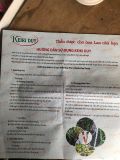  Keiki Duy xanh và Keiki duy đỏ chuyên dùng cho hoa lan 
