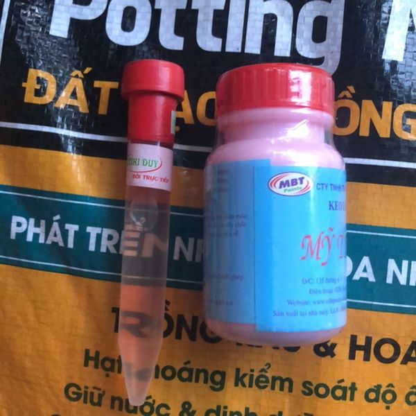  Kích Ki Duy pro (Keiki duy đỏ) và keo liền da 