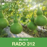  Hạt Giống Bầu Hồ Lô 312 Dễ trồng, dễ chăm sóc, sai trái, nhanh thu hoạch, năng suất cao 