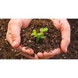  Phân bón hữu cơ Growbel của Bỉ gói 2kg 