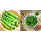  Hạt Giống Đậu Bắp Xanh - Nảy Mầm Cực Chuẩn 