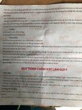  Keiki Duy xanh và Keiki duy đỏ chuyên dùng cho hoa lan 