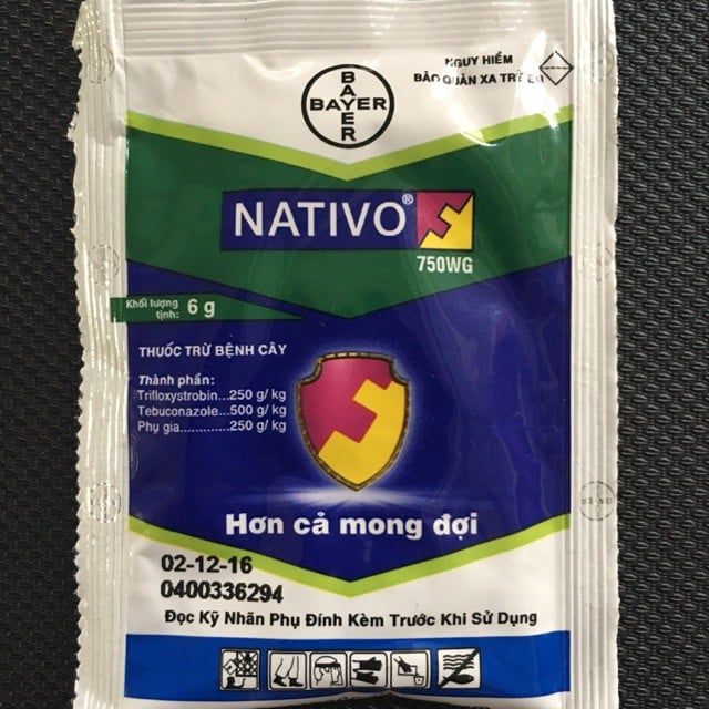  Thuốc trừ bệnh Nativo 750WG 6gr 