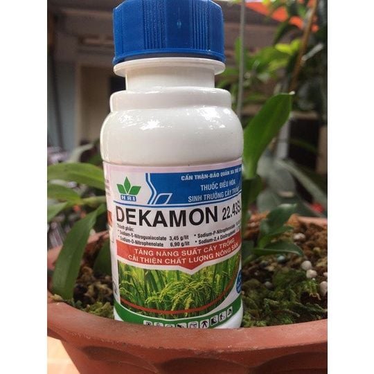  DEKAMON 100ml - Phân bón điều hòa sinh trưởng cây trồng 
