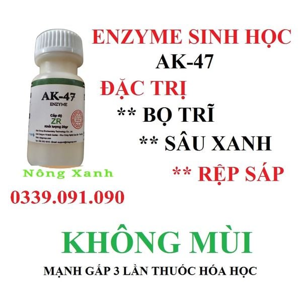  ĐẶC TRỊ BỌ TRĨ MAI VÀNG ENZYM AK-44 