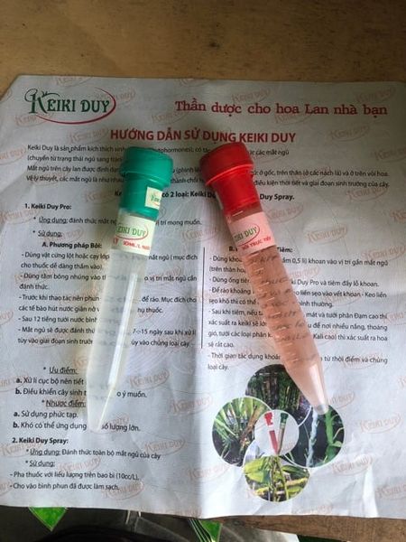  Keiki Duy xanh và Keiki duy đỏ chuyên dùng cho hoa lan 