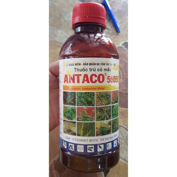  Thuốc Trừ Cỏ Mầu - Antaco 500EC - Chai 450ml 