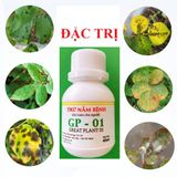  GP-01 Chuyên Trị Gỉ Sắt, Đốm Đen, Phấn Trắng Trên Hoa Hồng (AN TOÀN CHO NGƯỜI DÙNG - CHIẾT XUẤT TỪ NẤM Oomycota) 