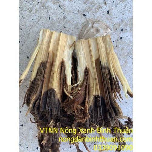  Trị thối rể thanh long - alpine 100g 