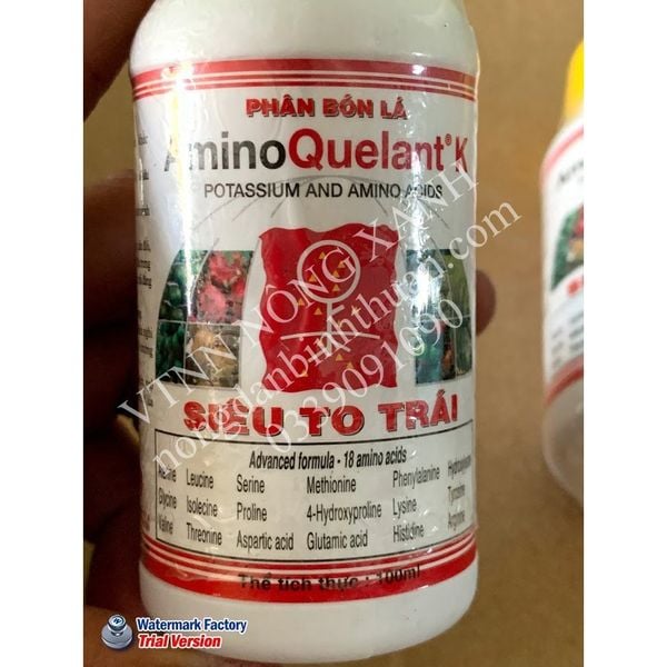  AminoQuelant - K ( Kali ) SIÊU TO TRÁI Chai 100ml 